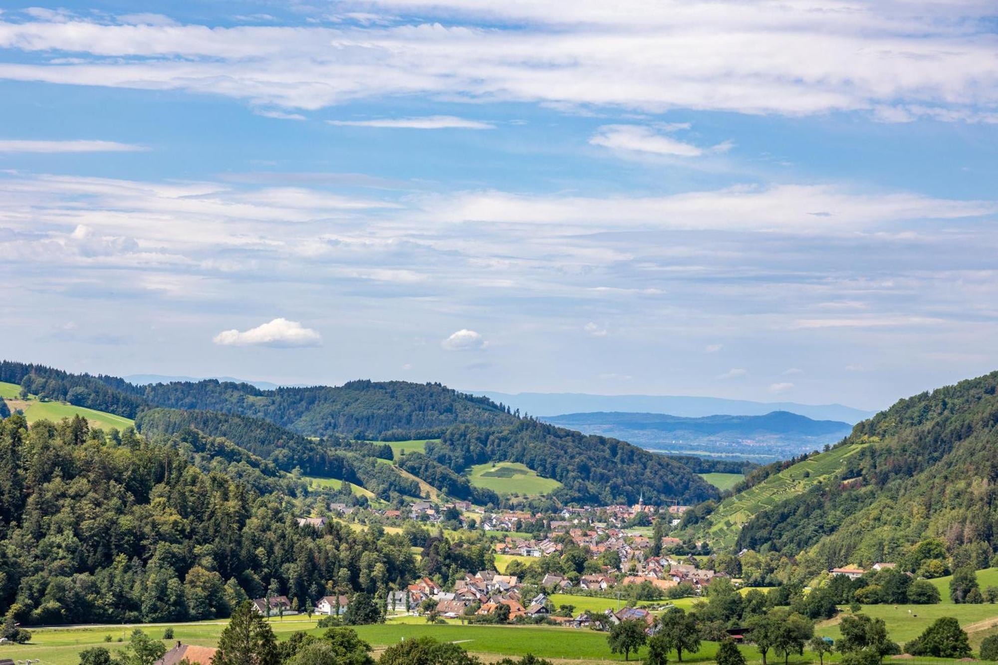 Hotel-Gasthaus Goldener Engel Glottertal Zewnętrze zdjęcie